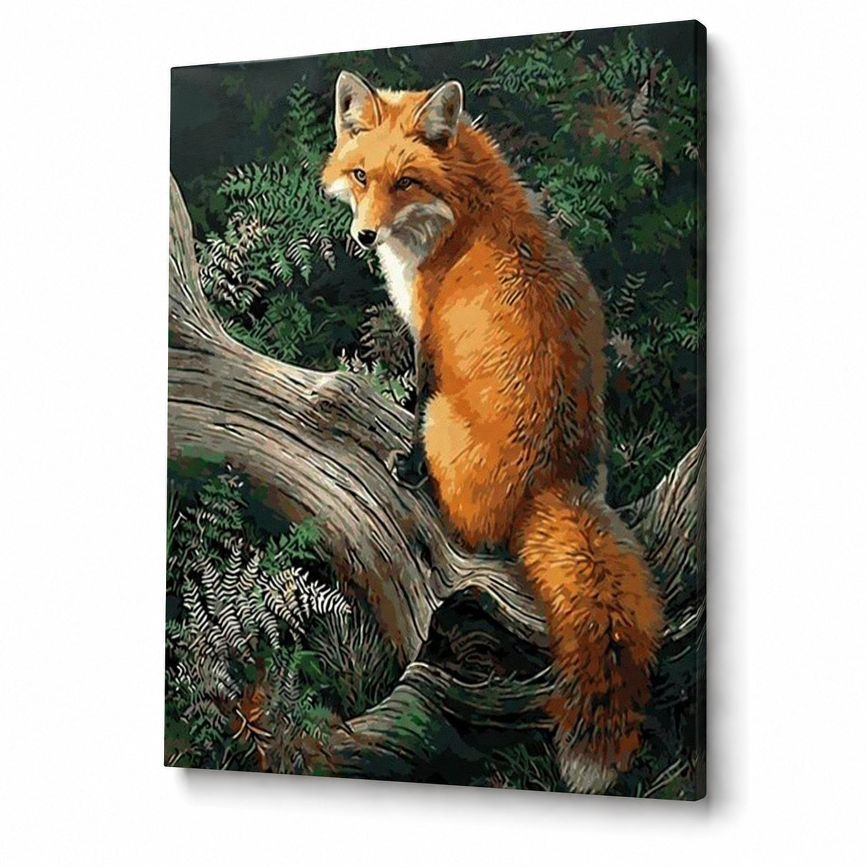Renard dans les bois