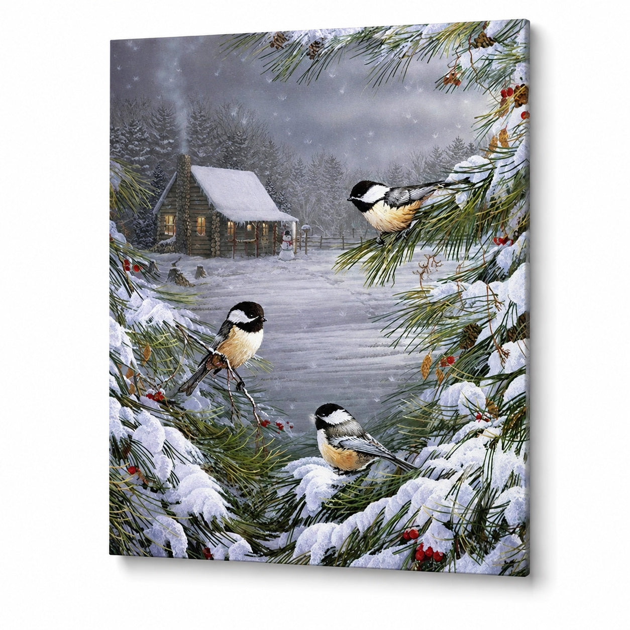 Trois oiseaux dans la neige