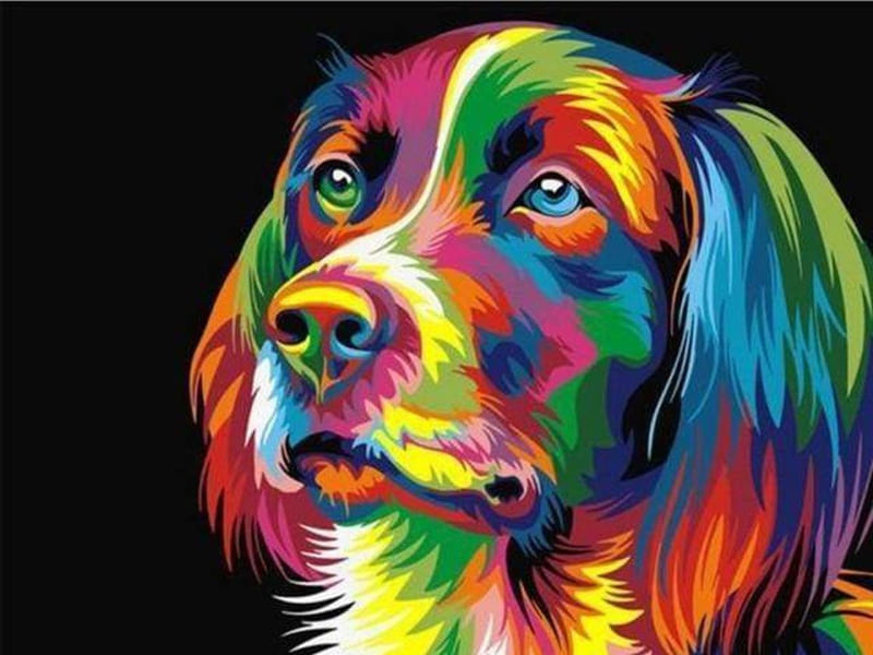 Dog Pop Art Portrait finished paint by numbers artwork